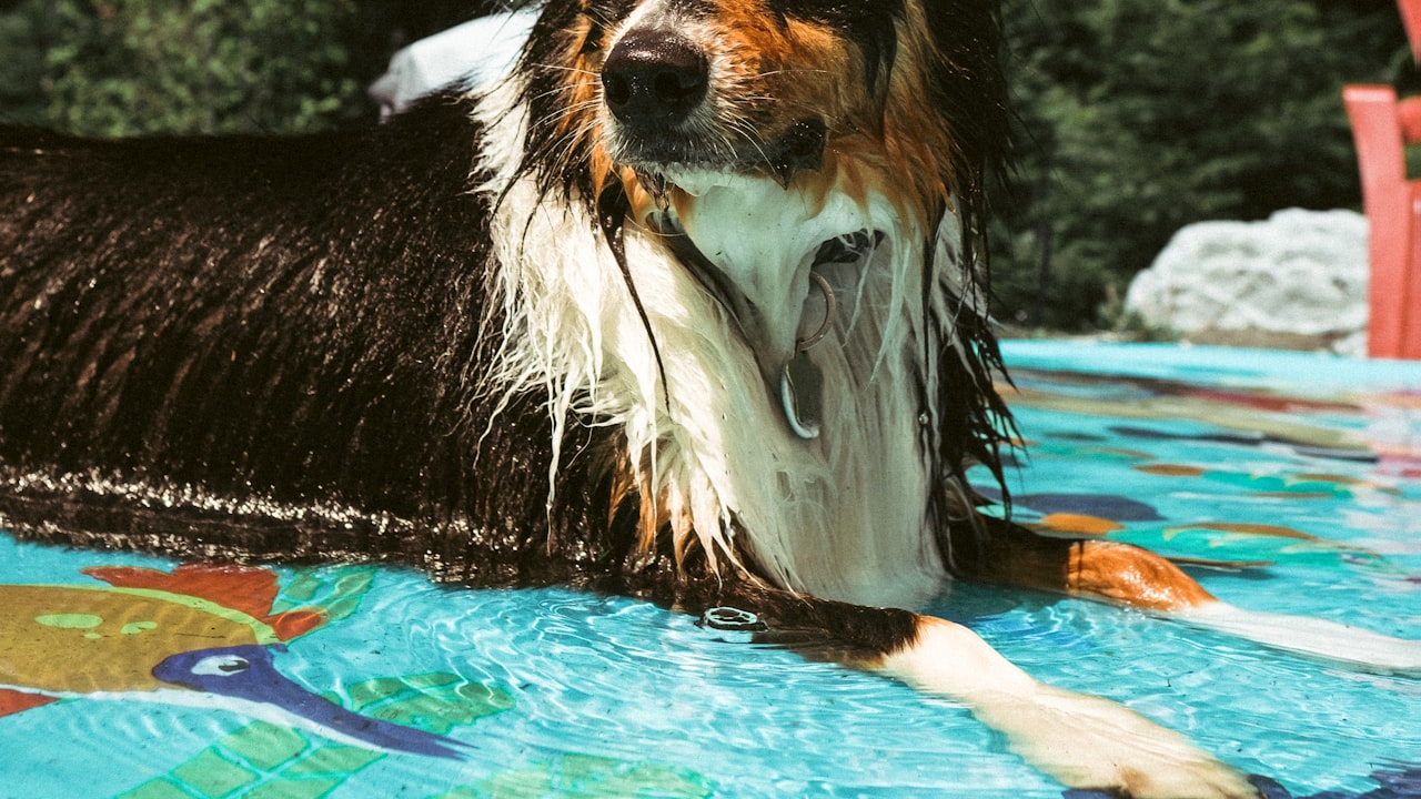 8 Accessories to Make Your ID Badges More Efficient