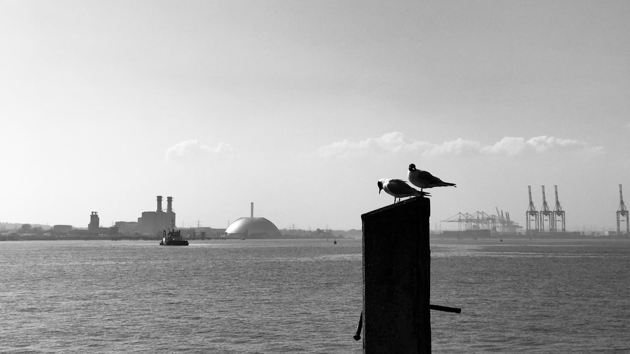 EEG (Electroencephalogram): Purpose and Procedure