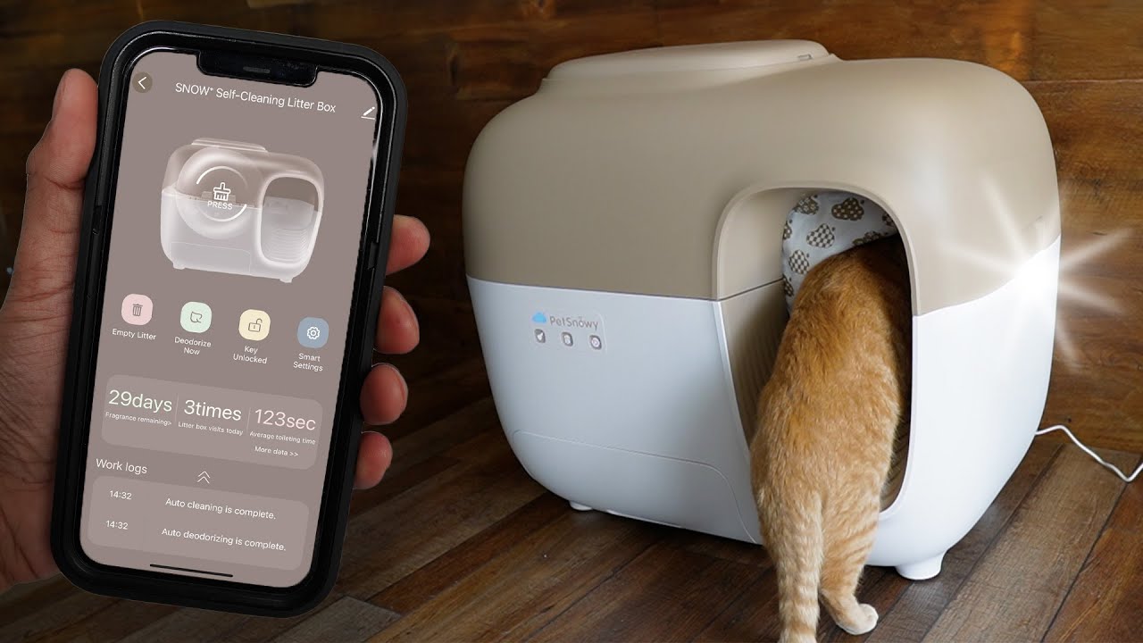 Say Goodbye to Scooping: The Best Automatic Litter Box for Odor-Free Homes